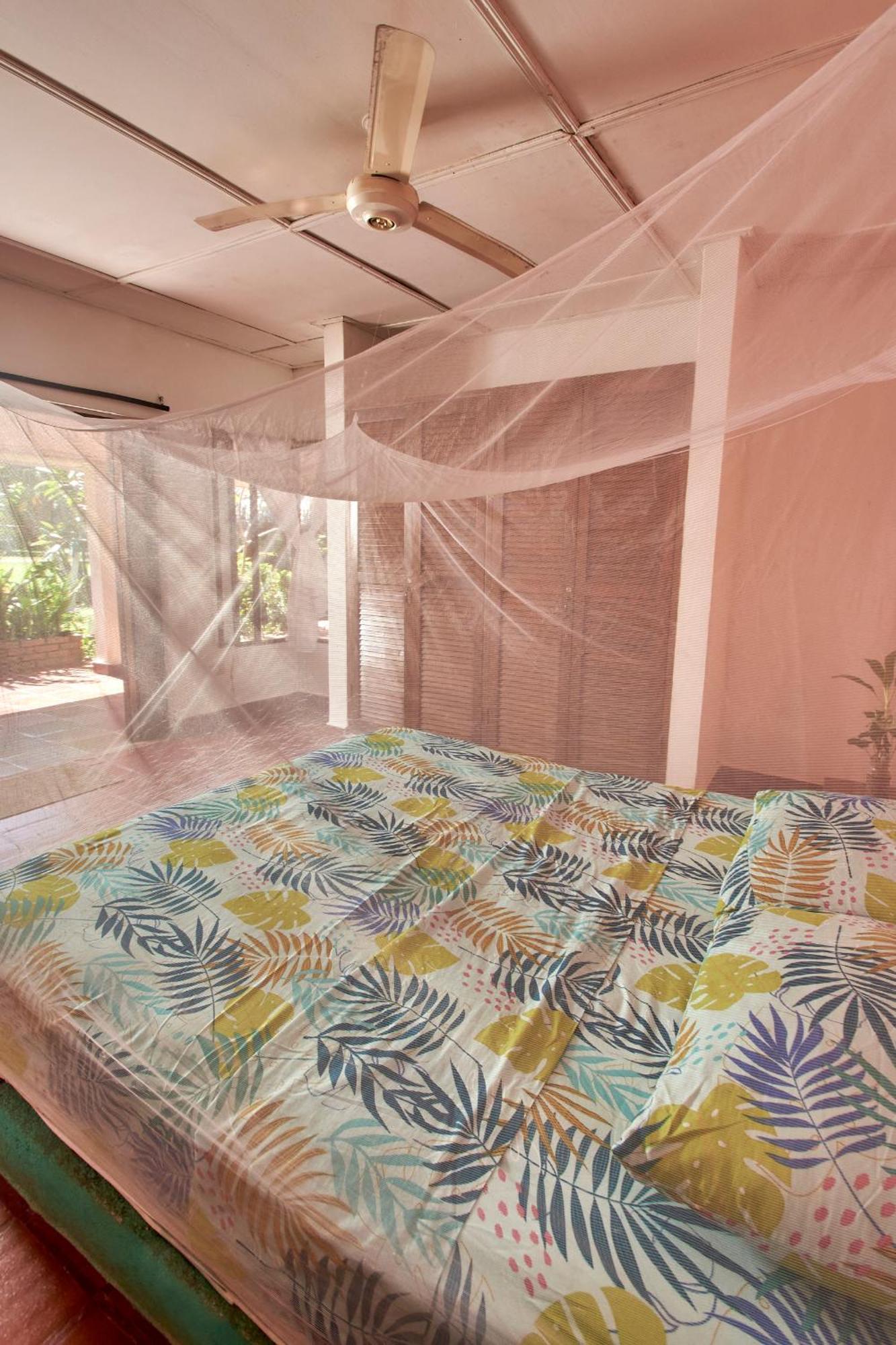 Jaba Jan Hostal Palomino Exterior photo